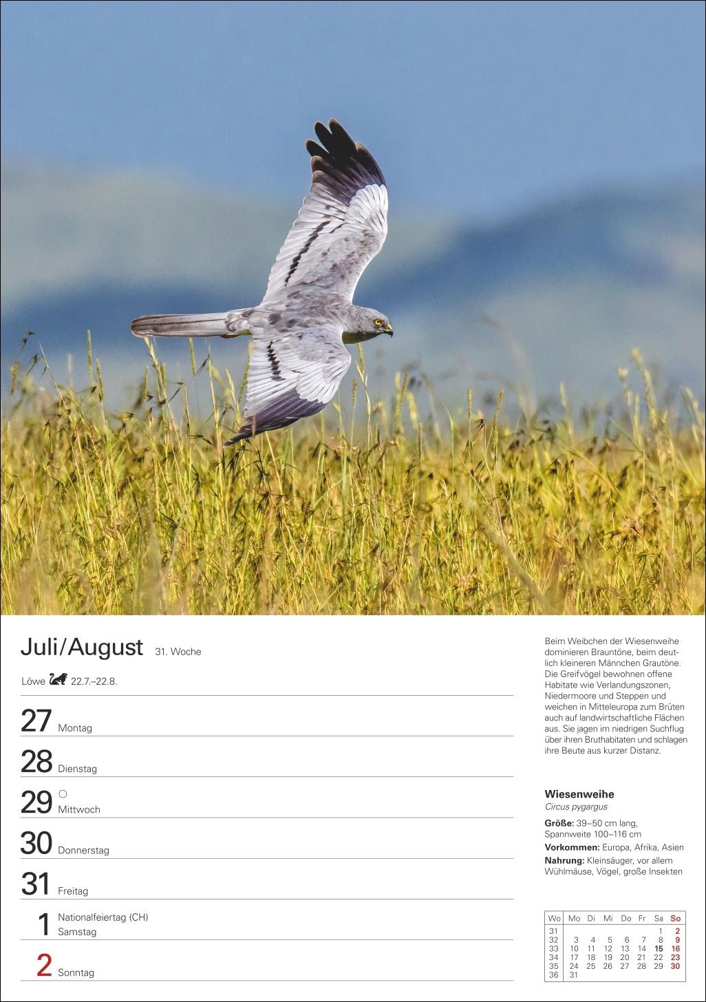 Beispielinhalt (Bild) Heimische Vögel Wochenplaner 2026 - 53 faszinierende Fotografien