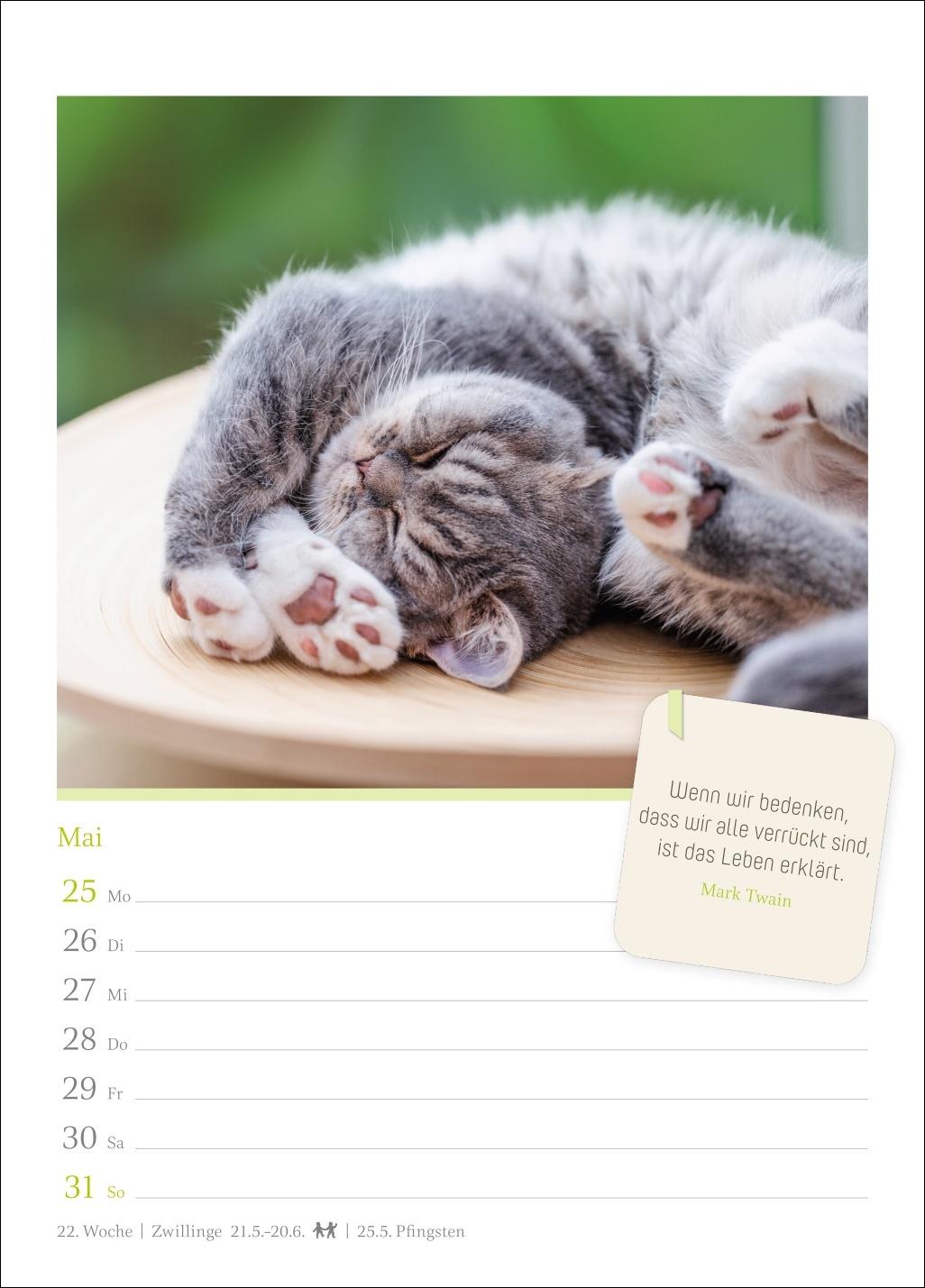 Beispielinhalt (Bild) Katzenglück Wochenkalender 2026 - mit Zitaten