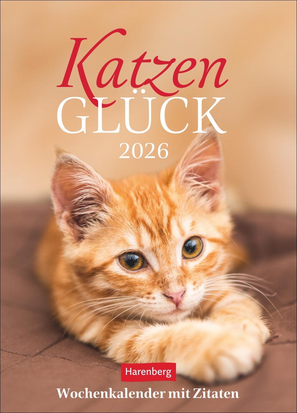 Vorderes Coverbild Katzenglück Wochenkalender 2026 - mit Zitaten