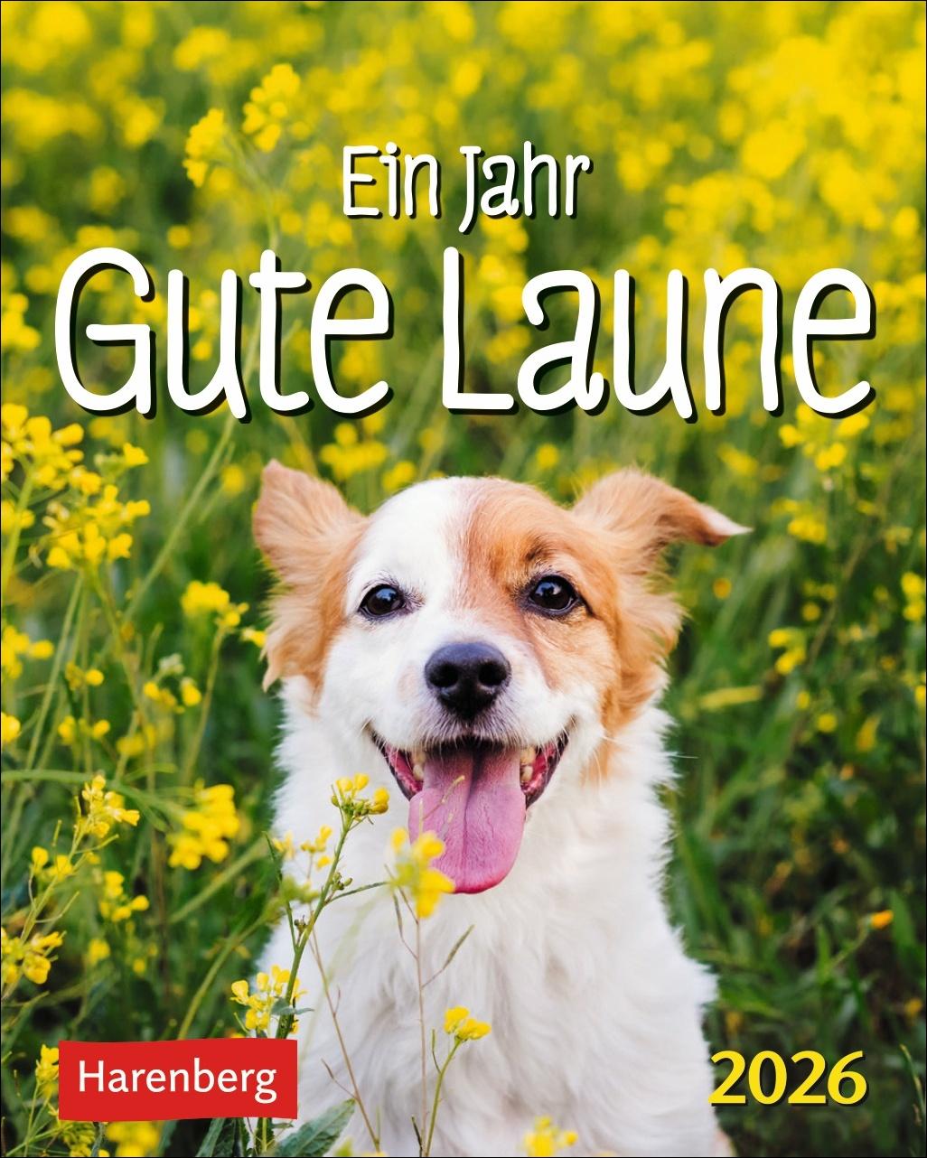 Vorderes Coverbild Ein Jahr gute Laune Mini-Geschenkkalender 2026