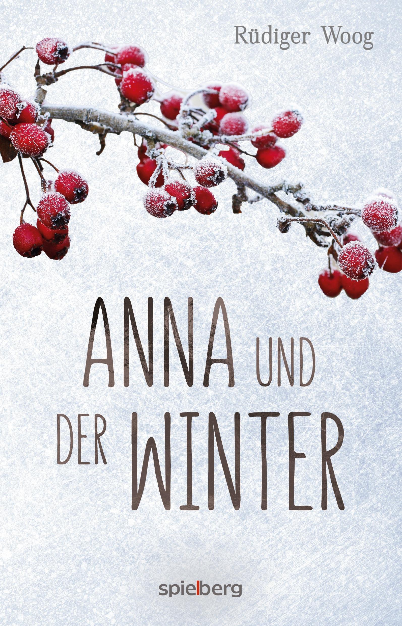 Vorderes Coverbild Anna und der Winter