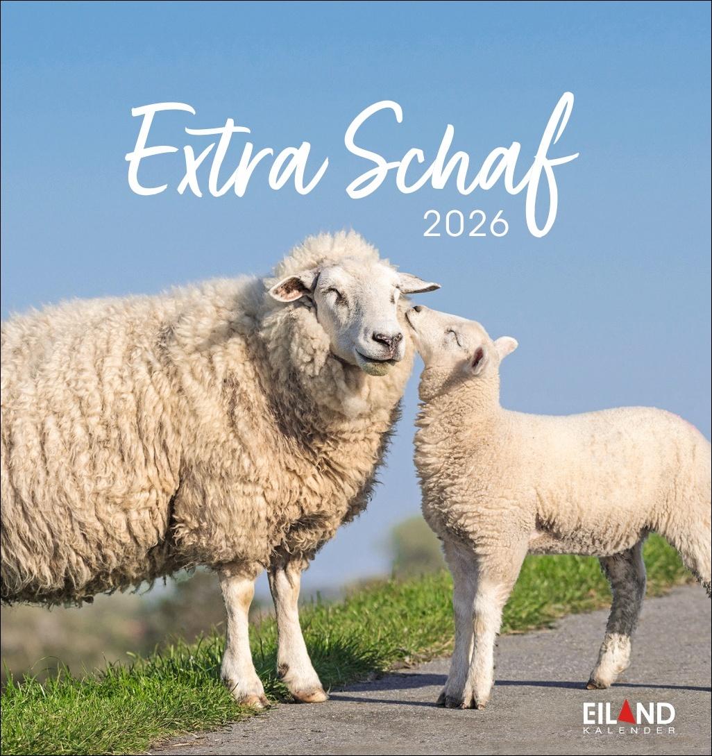 Vorderes Coverbild Extra Schaf Postkartenkalender 2026