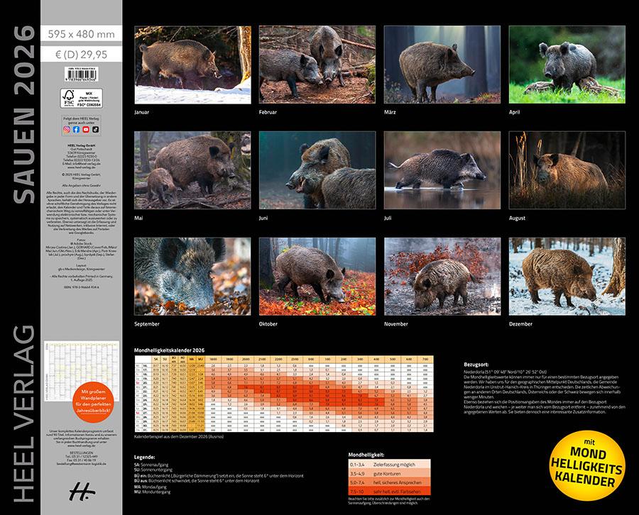 Beispielinhalt (Bild) Sauen Kalender 2026 Jagd-Kalender im XXL-Format
