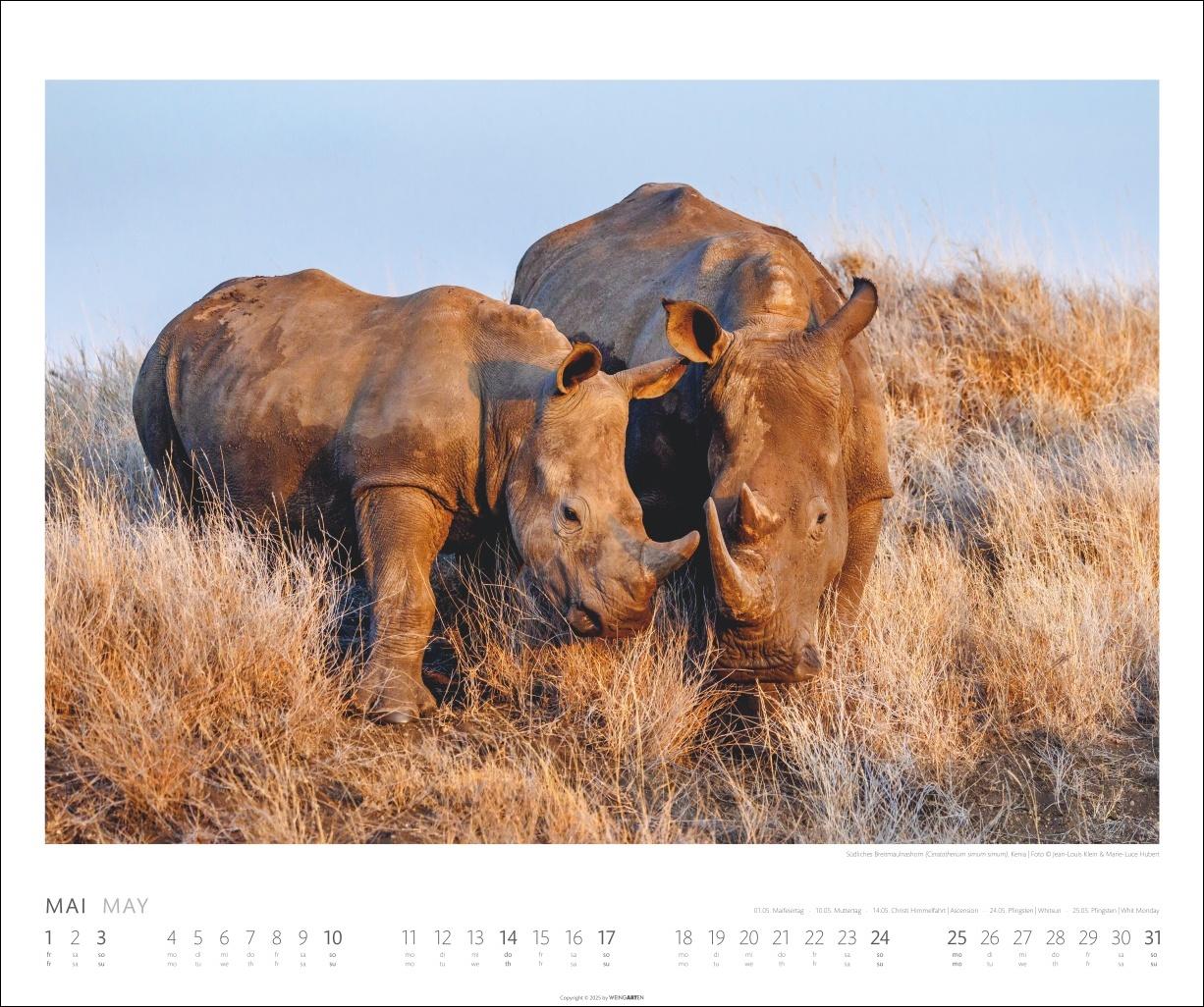Beispielinhalt (Bild) African Wildlife Kalender 2026