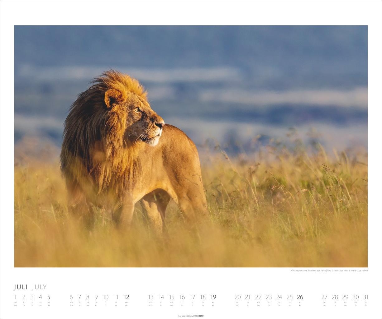 Beispielinhalt (Bild) African Wildlife Kalender 2026