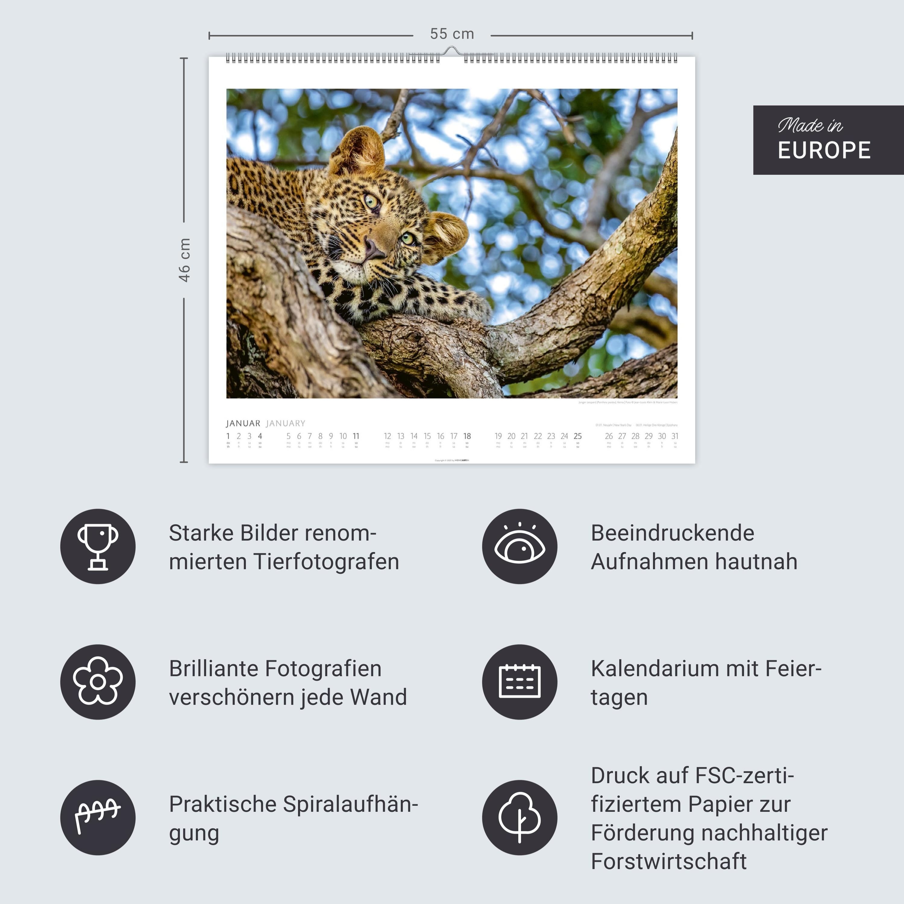 Beispielinhalt (Bild) African Wildlife Kalender 2026
