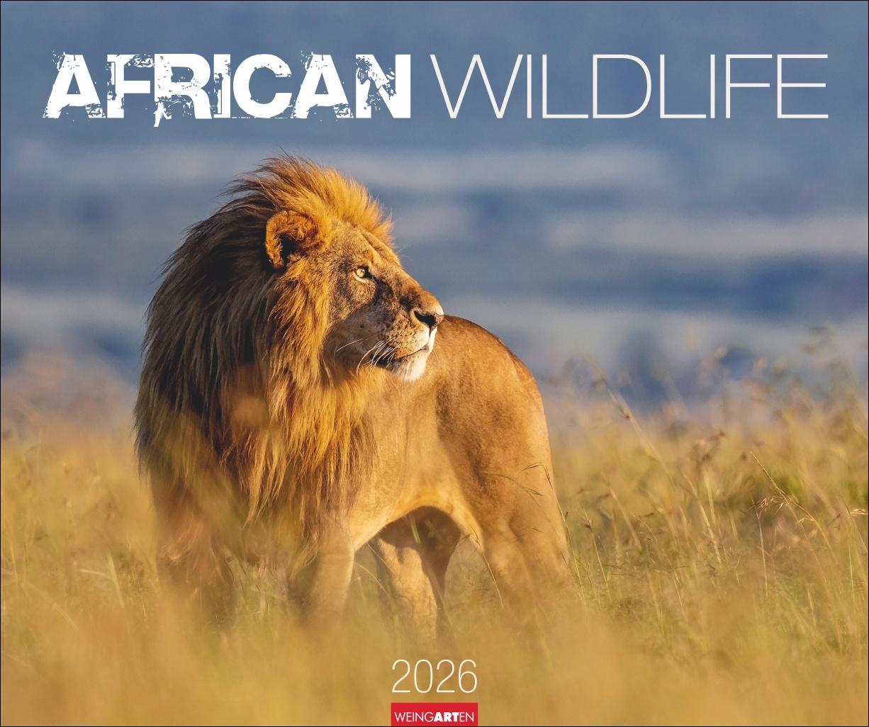 Vorderes Coverbild African Wildlife Kalender 2026