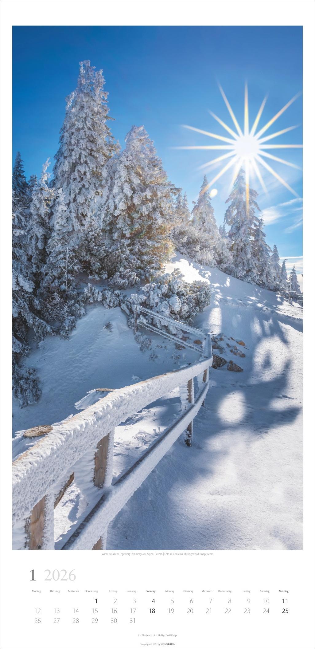 Beispielinhalt (Bild) Im Wald Kalender 2026