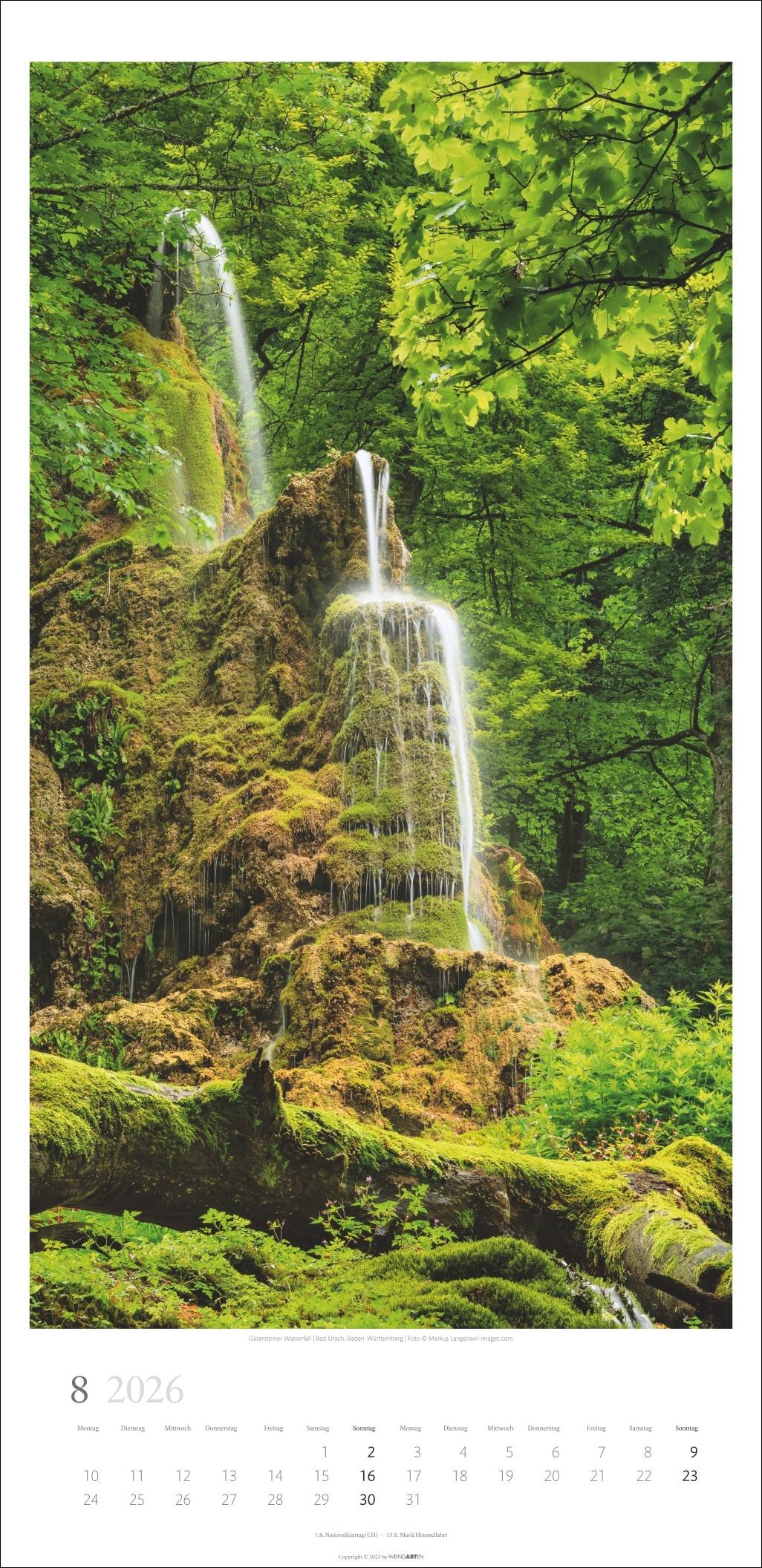 Beispielinhalt (Bild) Im Wald Kalender 2026