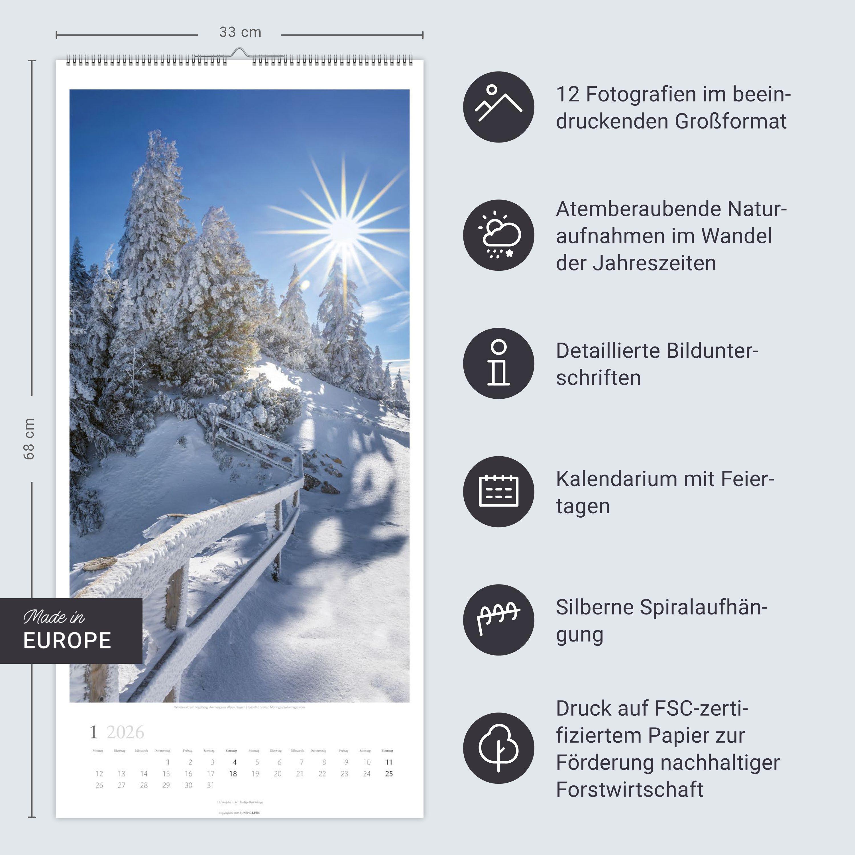 Beispielinhalt (Bild) Im Wald Kalender 2026