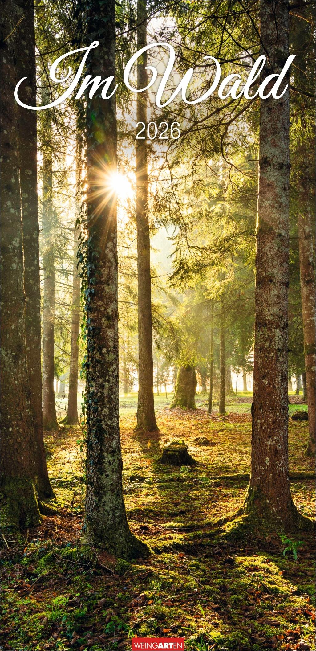 Vorderes Coverbild Im Wald Kalender 2026
