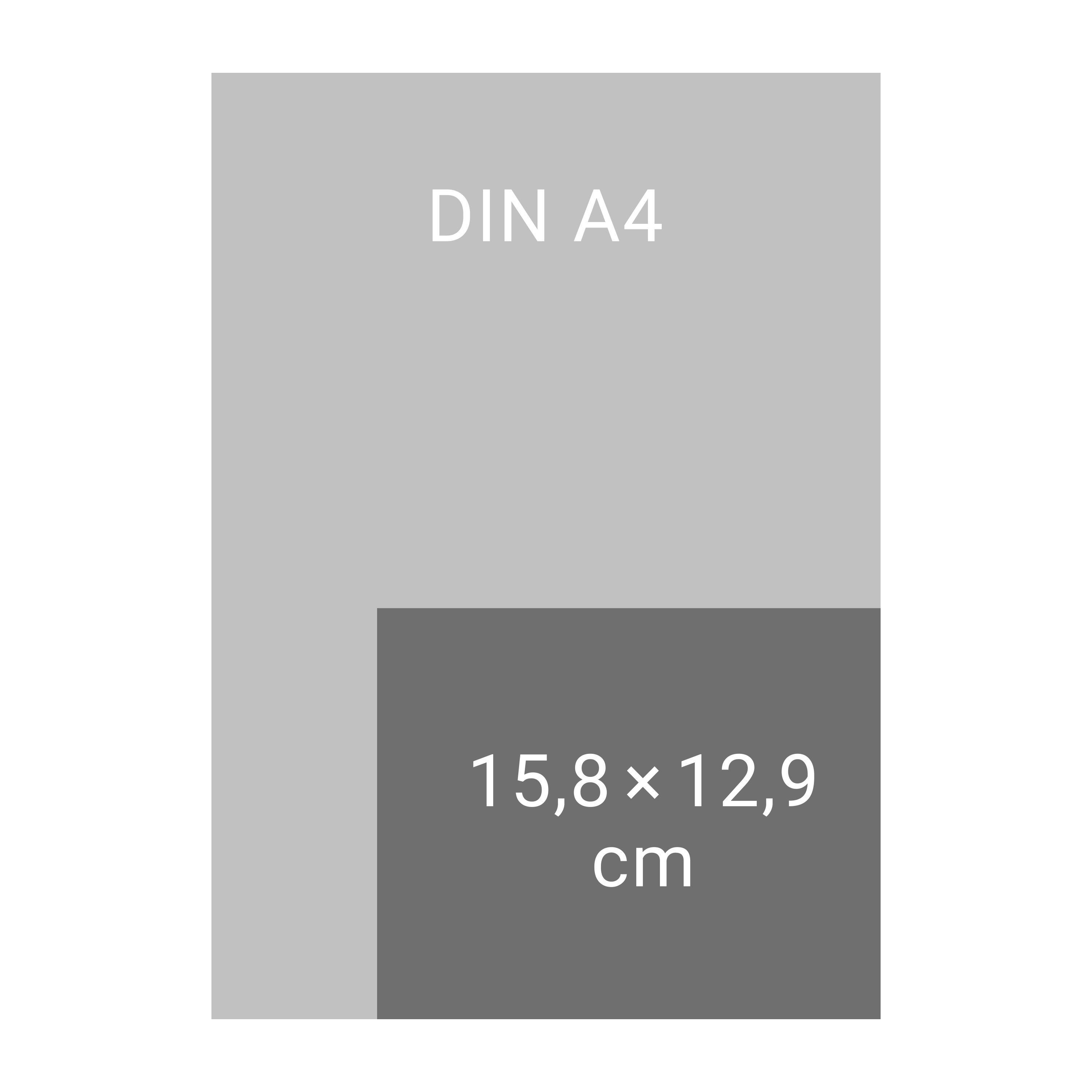 Beispielinhalt (Bild) The Mandalorian Tagesabreißkalender 2026