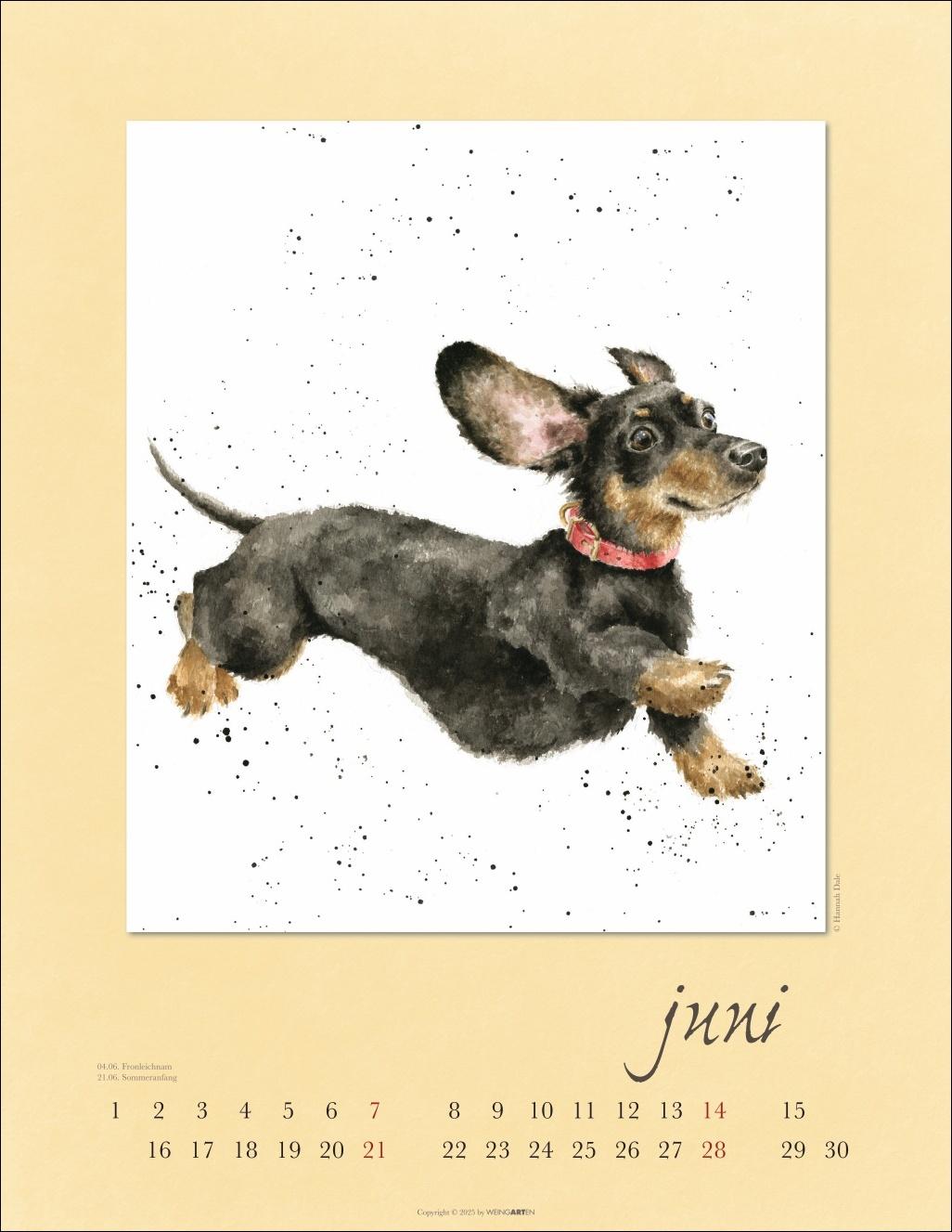 Beispielinhalt (Bild) Country Life Kalender 2026
