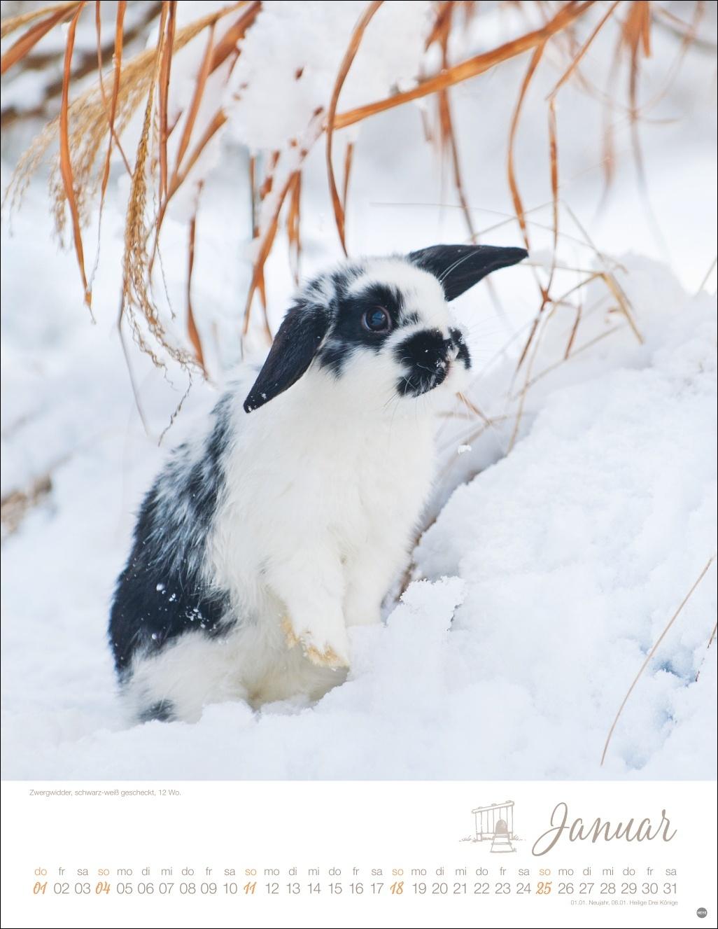 Beispielinhalt (Bild) Kaninchenkinder Posterkalender 2026
