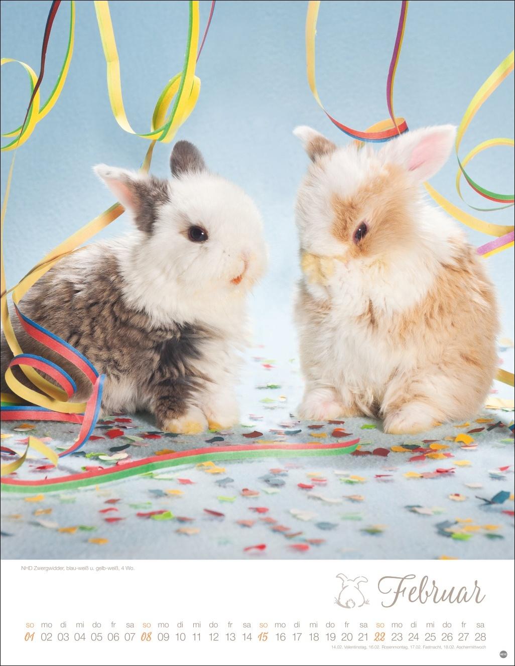Beispielinhalt (Bild) Kaninchenkinder Posterkalender 2026