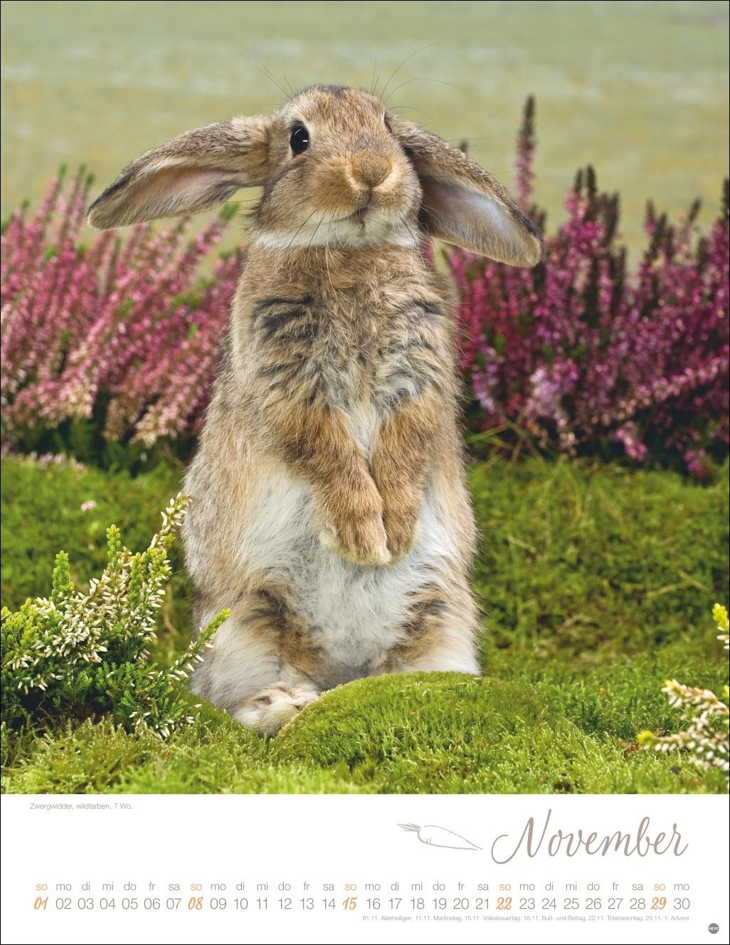 Beispielinhalt (Bild) Kaninchenkinder Posterkalender 2026