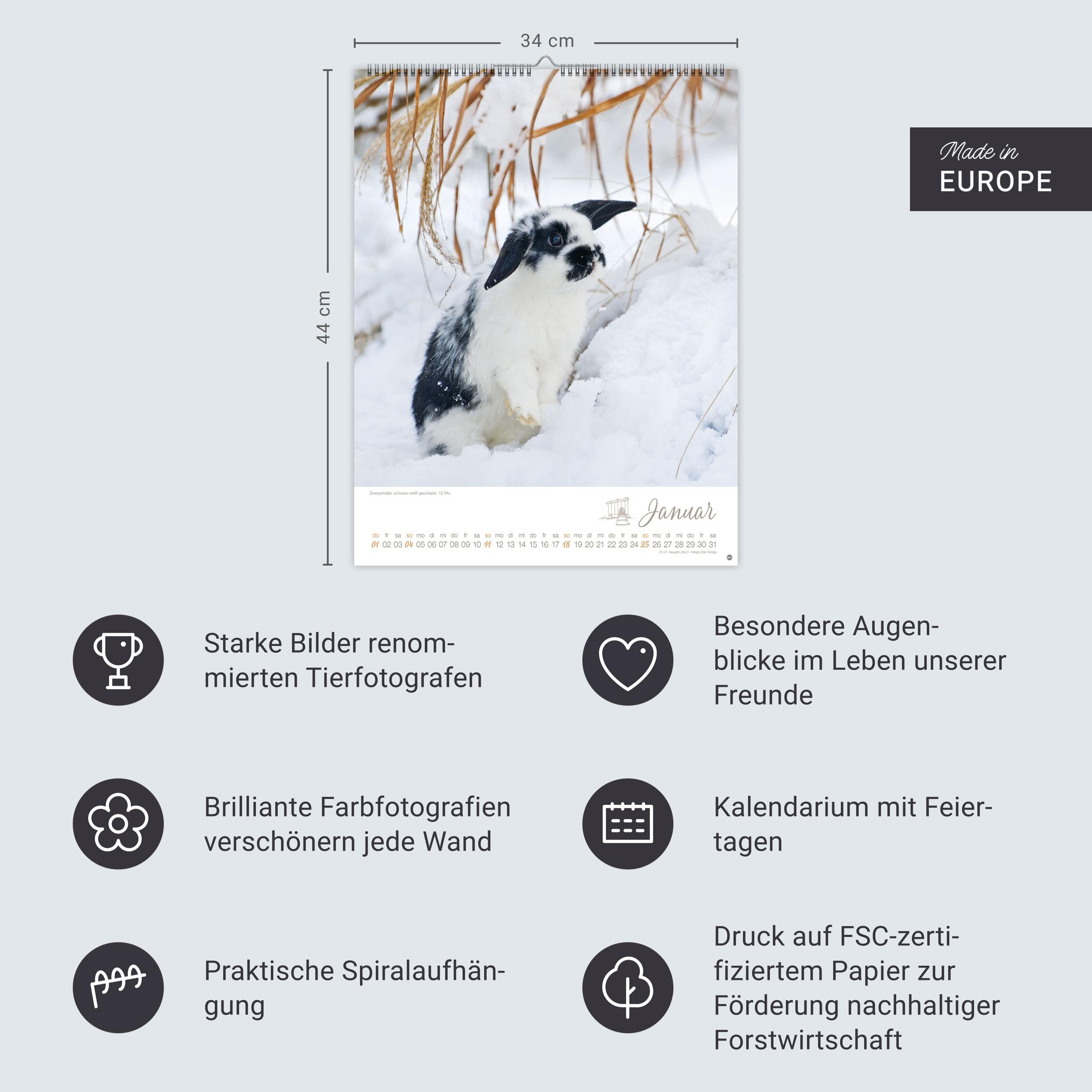 Beispielinhalt (Bild) Kaninchenkinder Posterkalender 2026