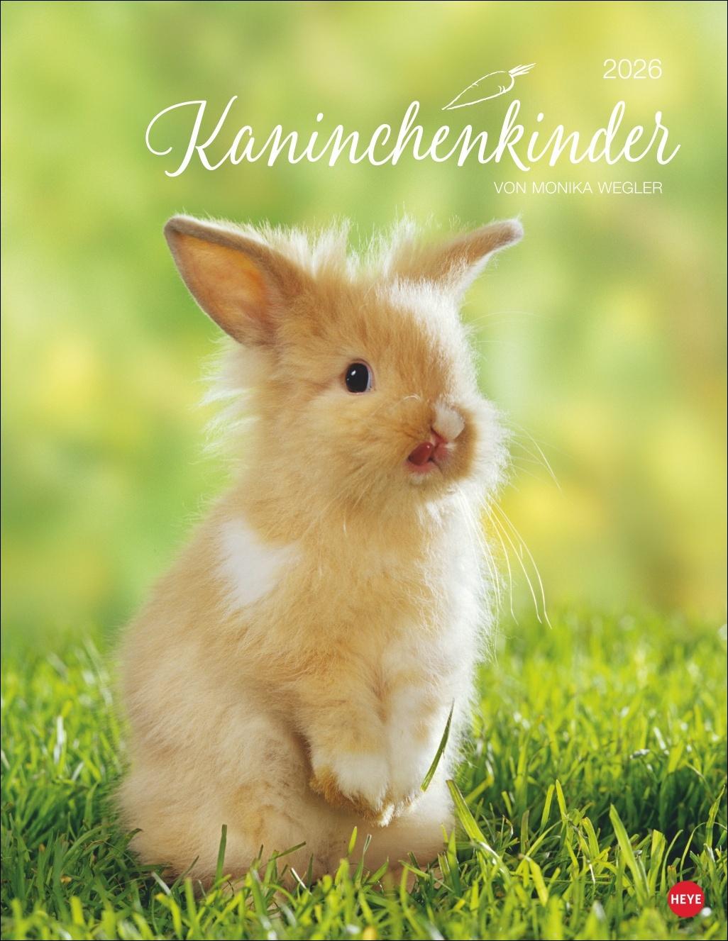 Vorderes Coverbild Kaninchenkinder Posterkalender 2026