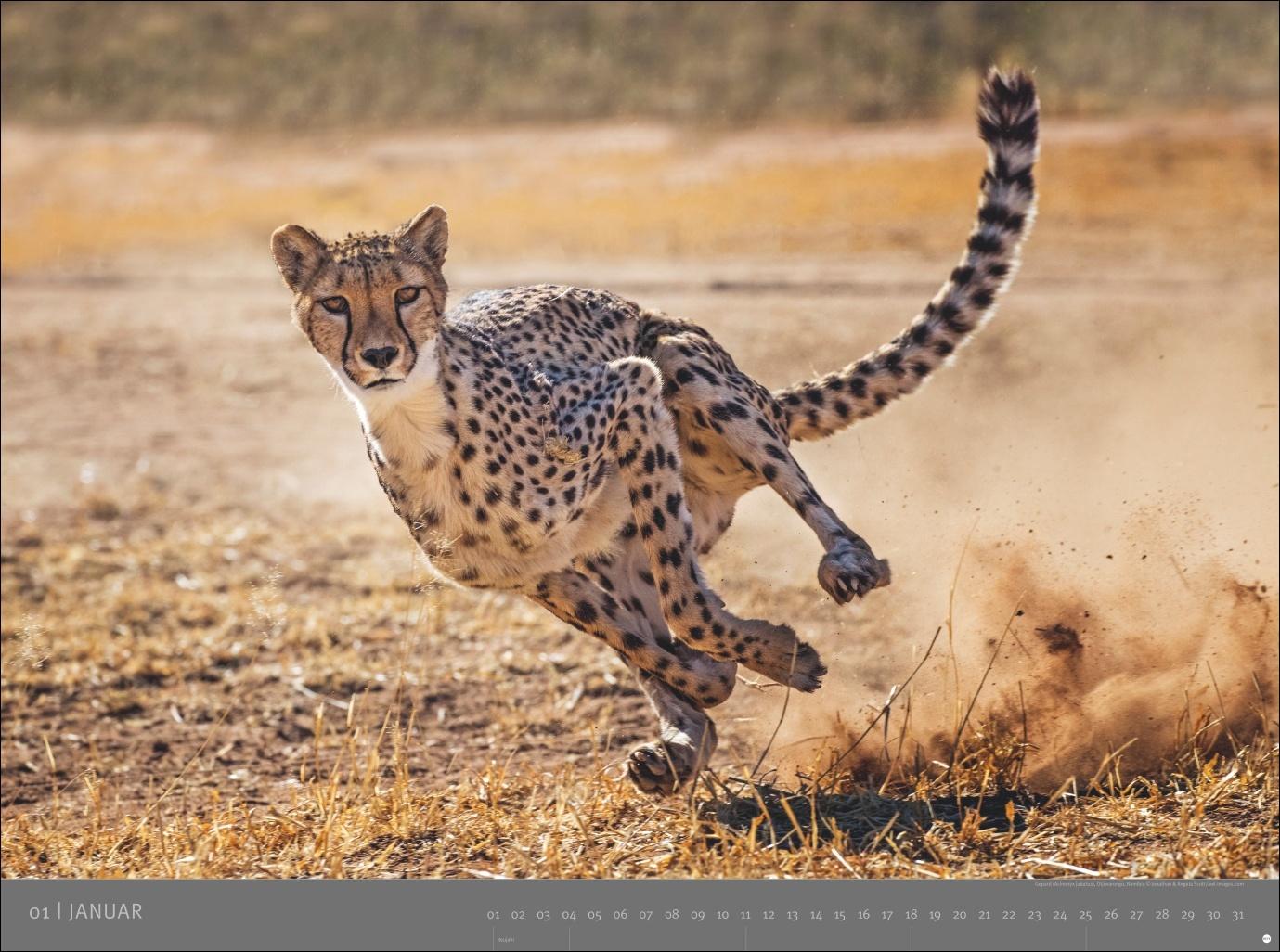 Beispielinhalt (Bild) Afrika - Edition Alexander von Humboldt Kalender 2026