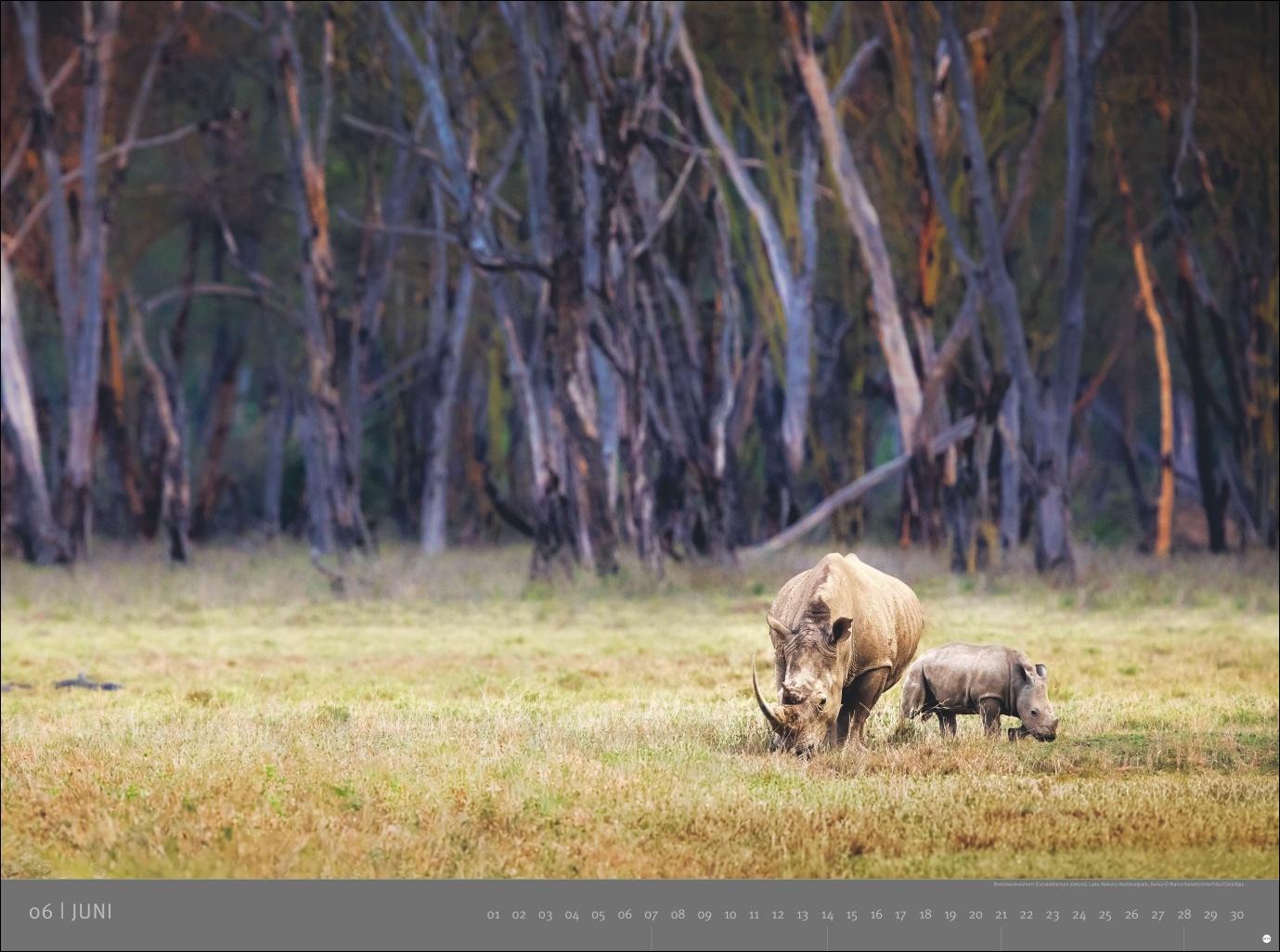 Beispielinhalt (Bild) Afrika - Edition Alexander von Humboldt Kalender 2026