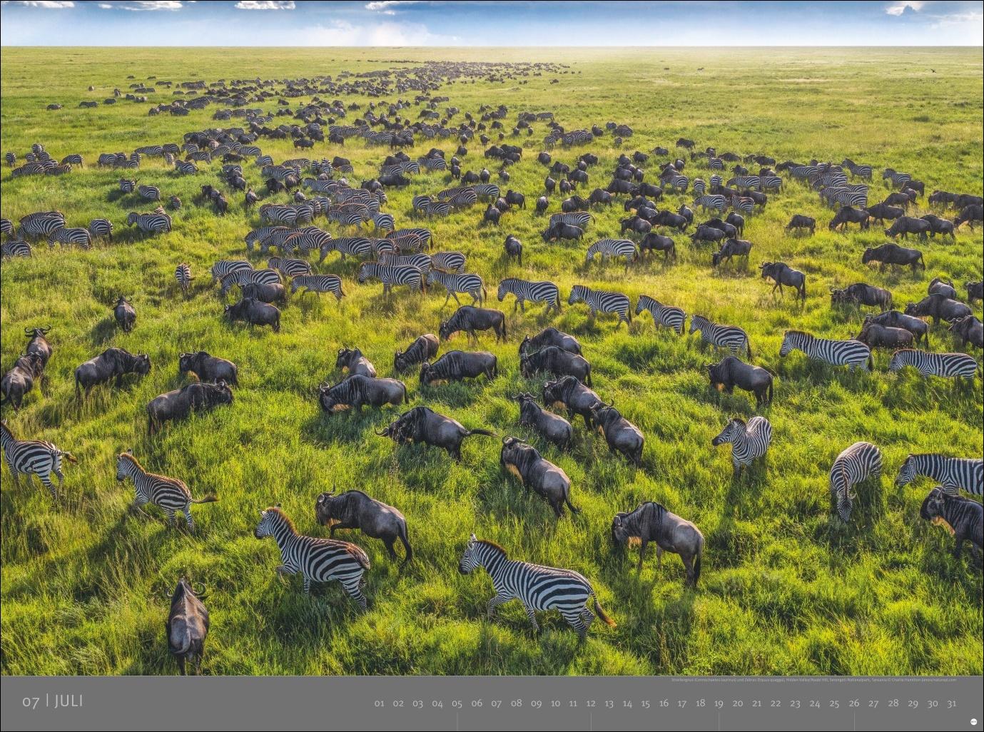 Beispielinhalt (Bild) Afrika - Edition Alexander von Humboldt Kalender 2026