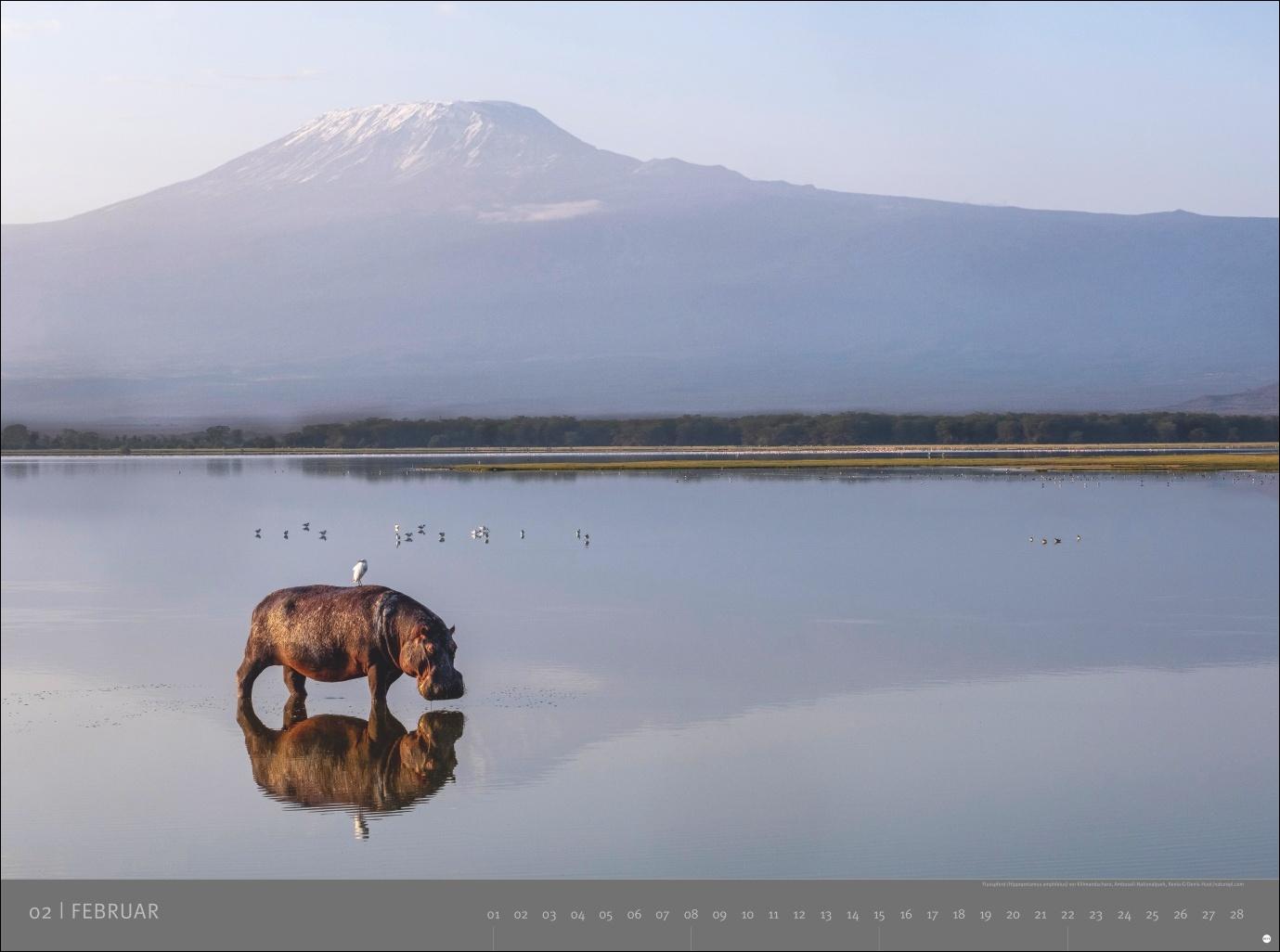 Beispielinhalt (Bild) Afrika - Edition Alexander von Humboldt Kalender 2026