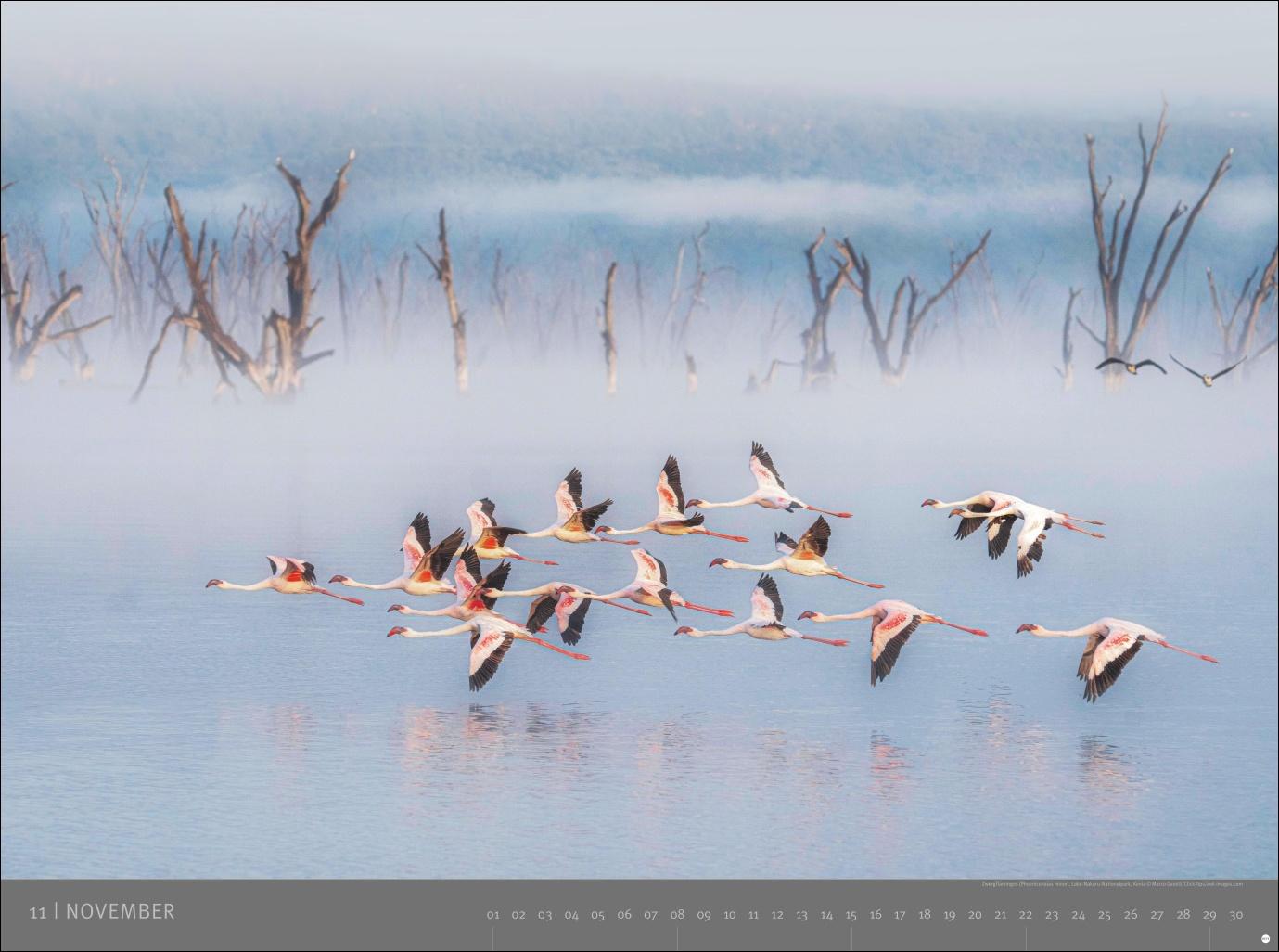 Beispielinhalt (Bild) Afrika - Edition Alexander von Humboldt Kalender 2026