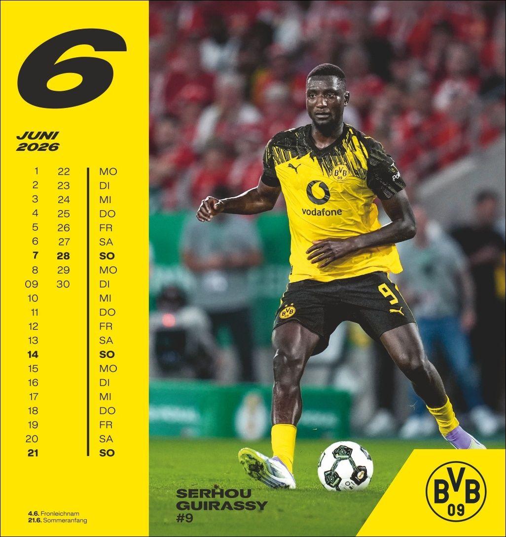Beispielinhalt (Bild) BVB Postkartenkalender 2026