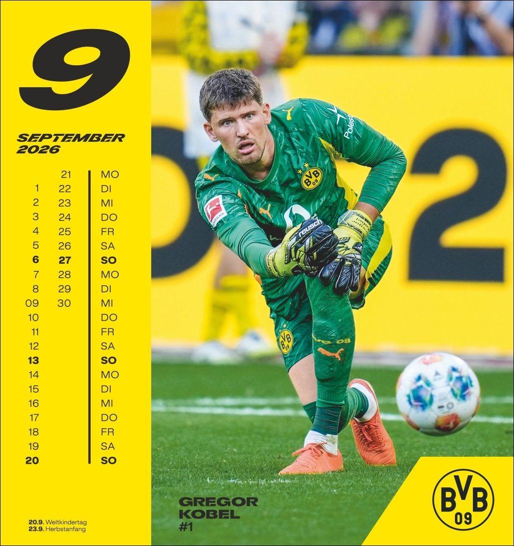 Beispielinhalt (Bild) BVB Postkartenkalender 2026