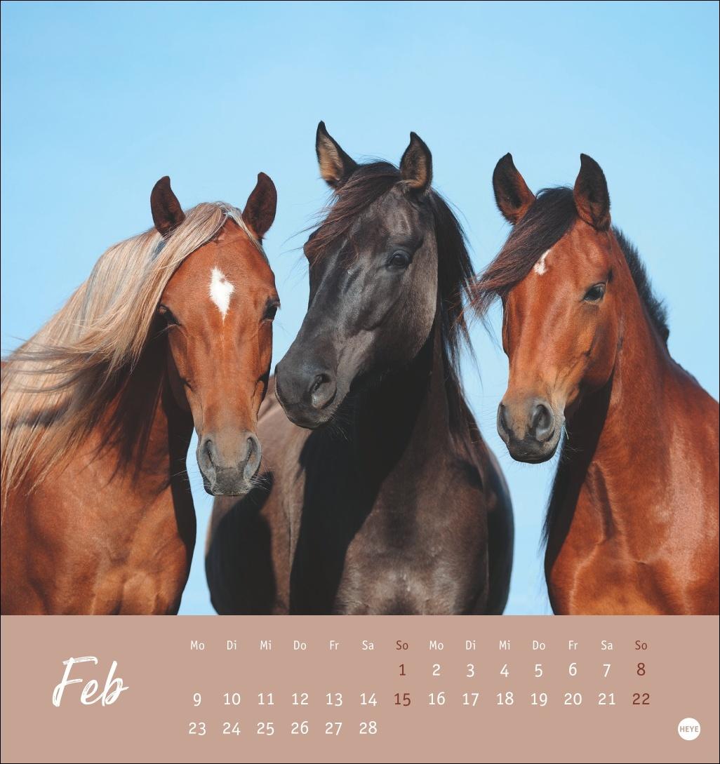 Beispielinhalt (Bild) Pferde Postkartenkalender 2026 - Starke Freunde
