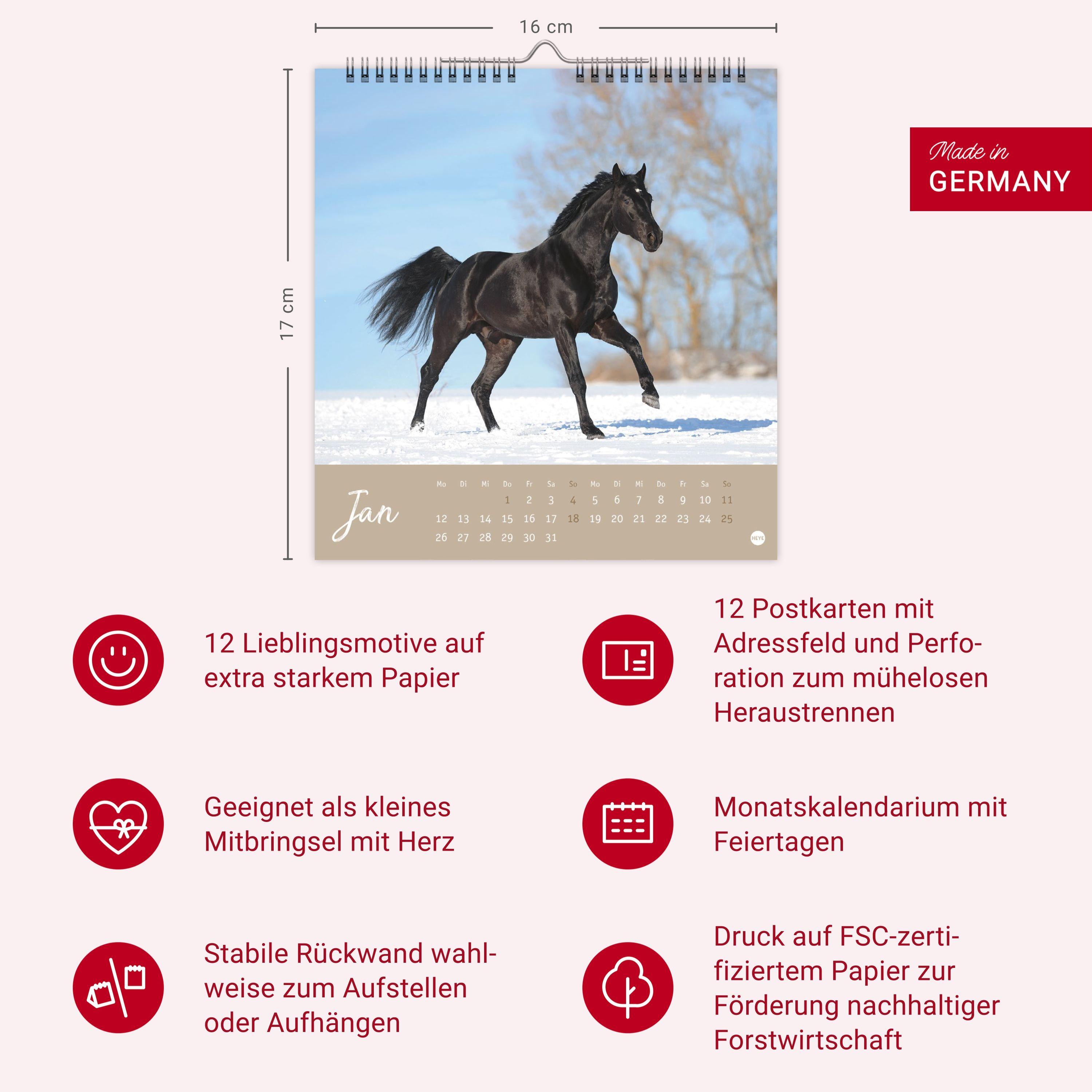 Beispielinhalt (Bild) Pferde Postkartenkalender 2026 - Starke Freunde