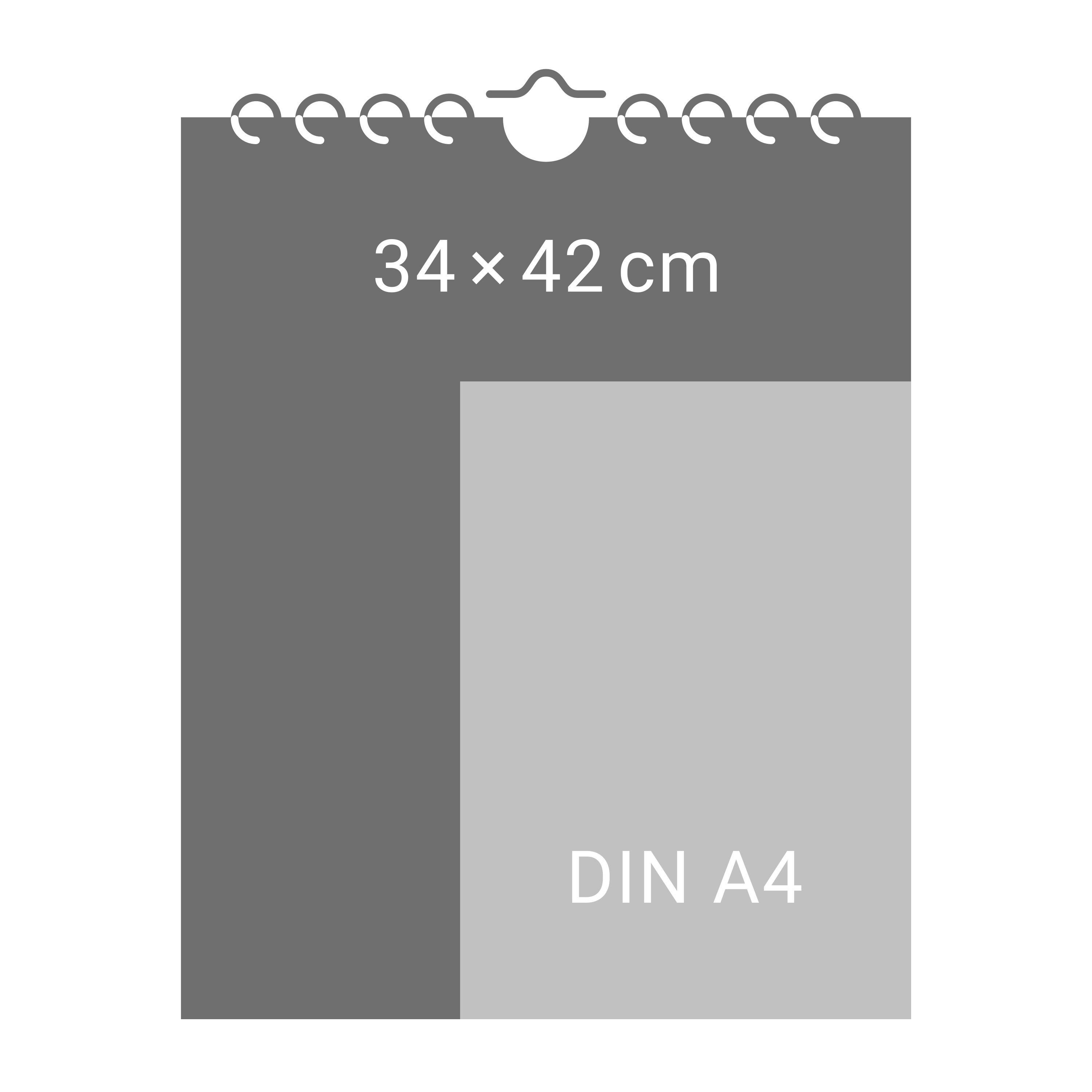 Beispielinhalt (Bild) BVB Trikotkalender 2026