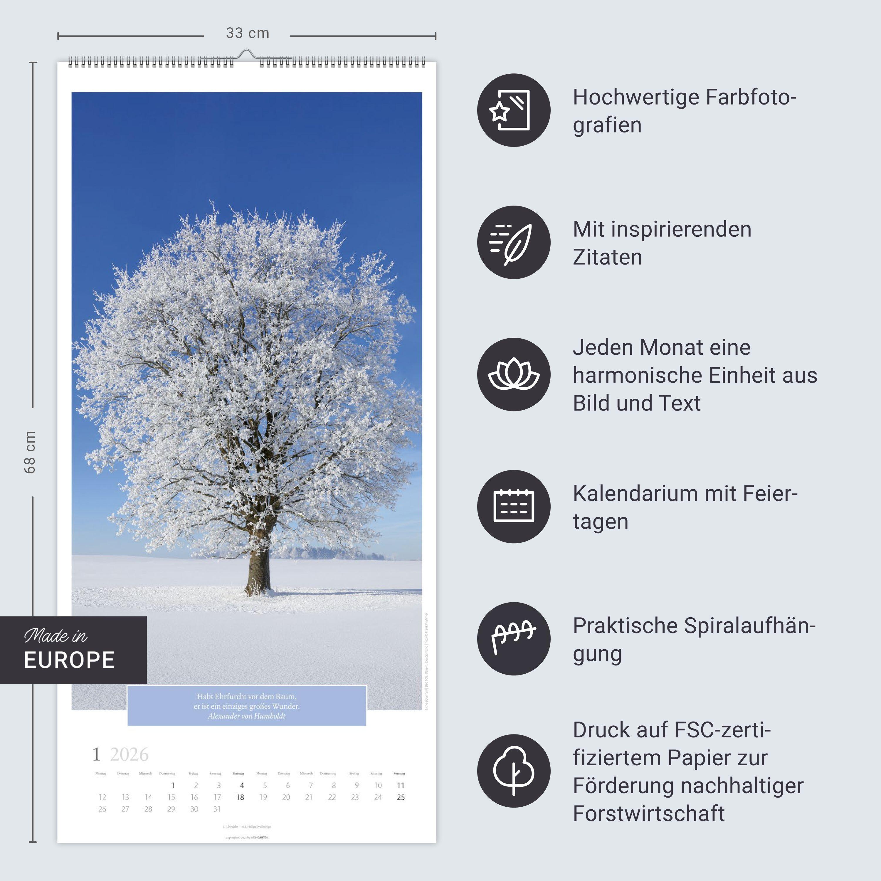 Beispielinhalt (Bild) Wunderwelt der Bäume Kalender 2026