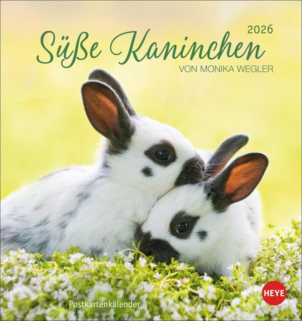 Vorderes Coverbild Süße Kaninchen Postkartenkalender 2026