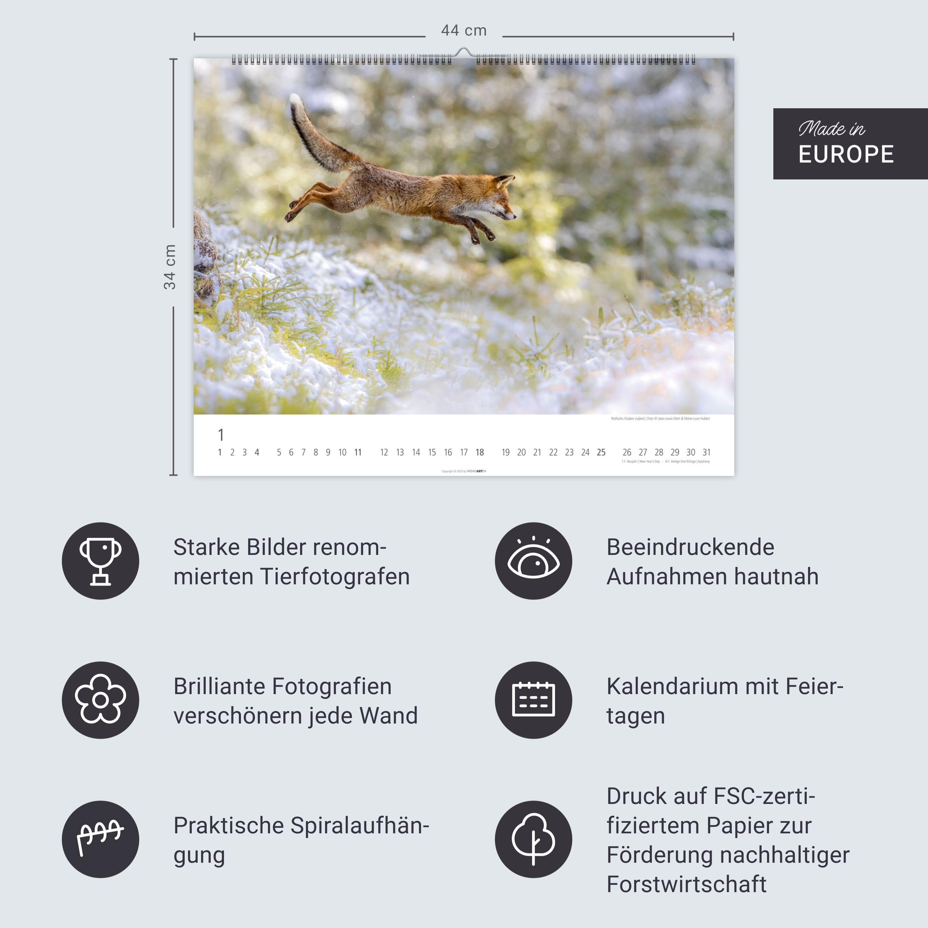 Beispielinhalt (Bild) Heimische Wildtiere Kalender 2026