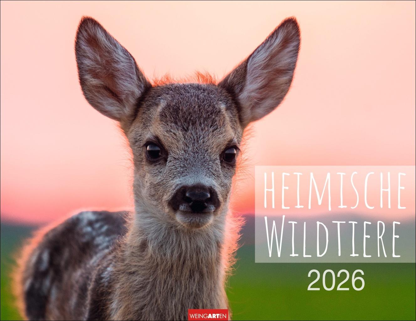 Vorderes Coverbild Heimische Wildtiere Kalender 2026