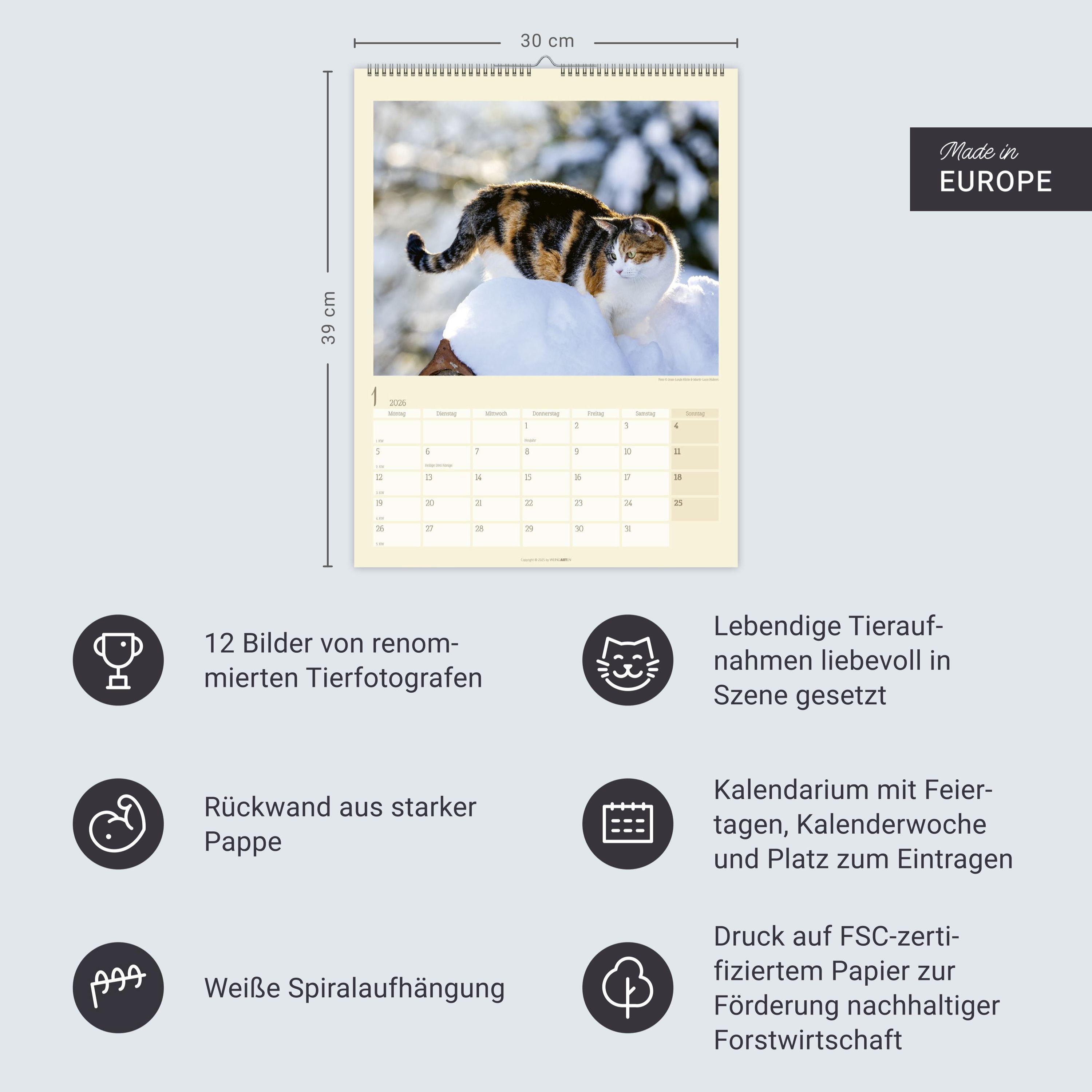 Beispielinhalt (Bild) Katzen auf dem Lande Kalender 2026