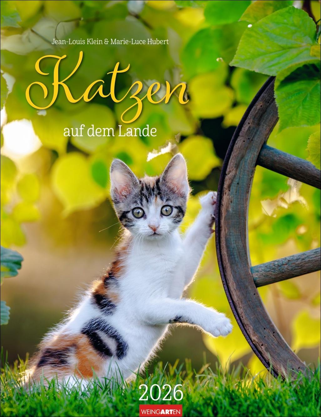 Vorderes Coverbild Katzen auf dem Lande Kalender 2026