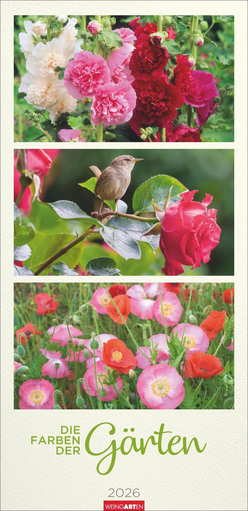 Vorderes Coverbild Die Farben der Gärten Kalender 2026