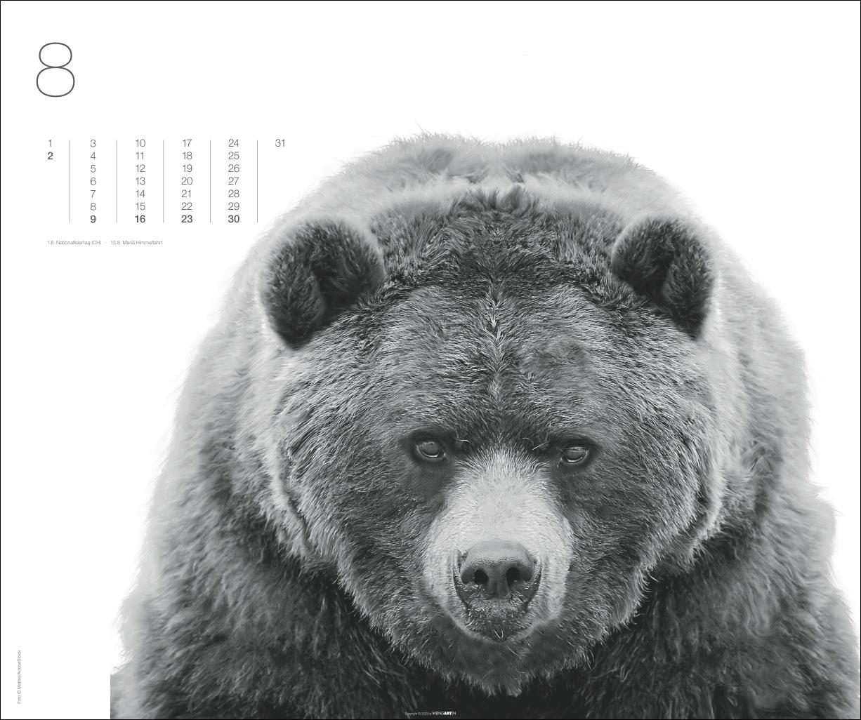 Beispielinhalt (Bild) Black & White Animals 2026
