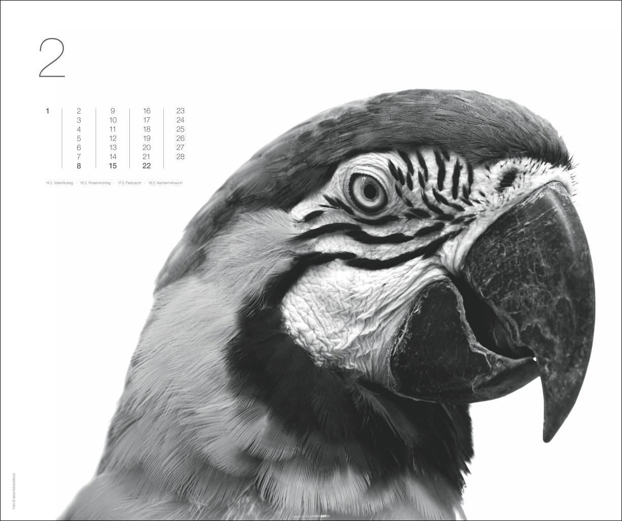 Beispielinhalt (Bild) Black & White Animals 2026