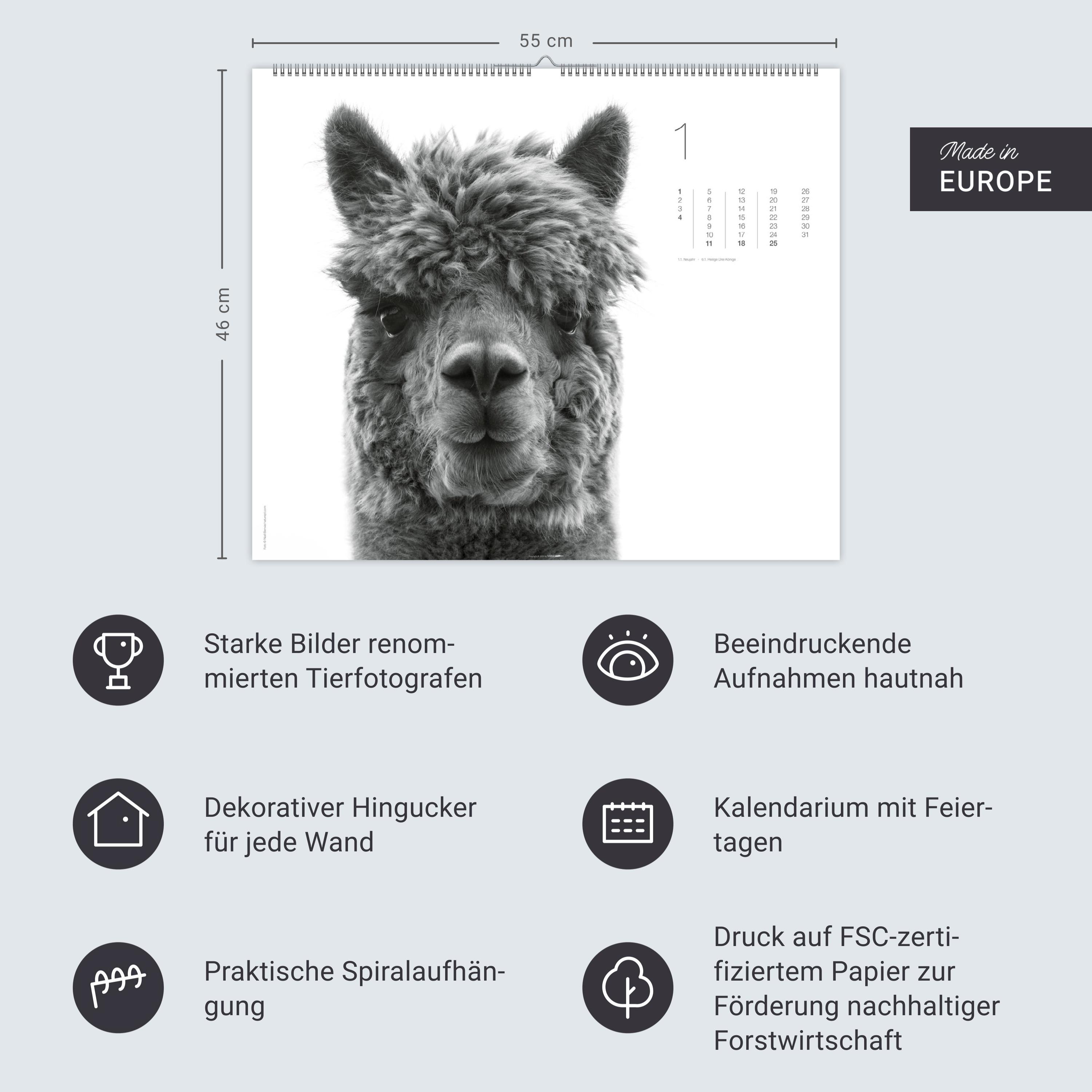 Beispielinhalt (Bild) Black & White Animals 2026