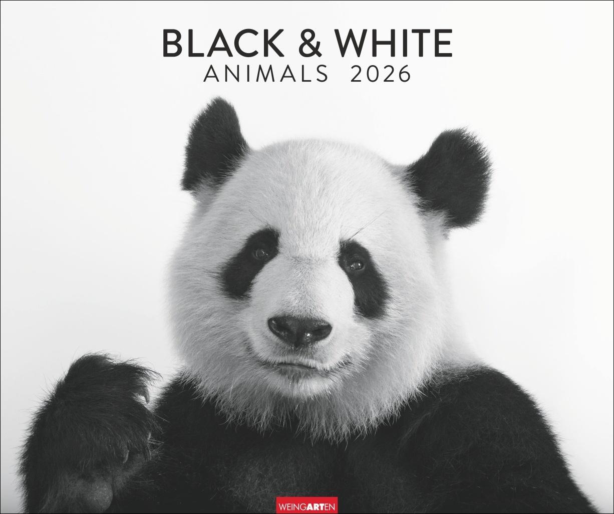 Vorderes Coverbild Black & White Animals 2026