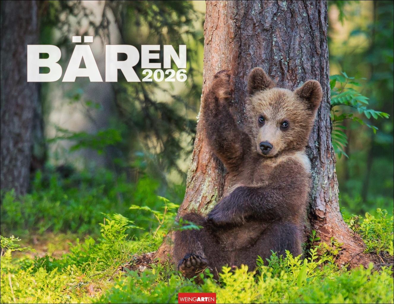 Vorderes Coverbild Bären Kalender 2026