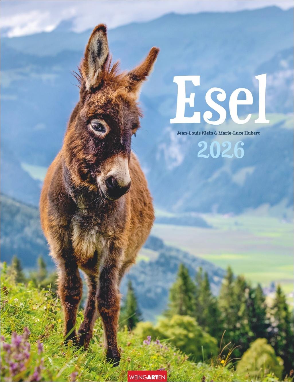 Vorderes Coverbild Esel Kalender 2026