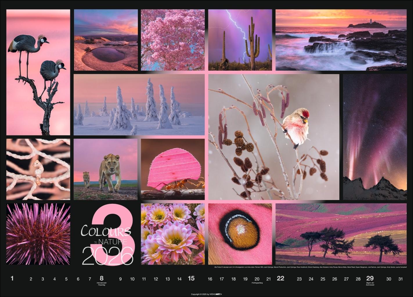 Beispielinhalt (Bild) Colours of Nature Kalender 2026