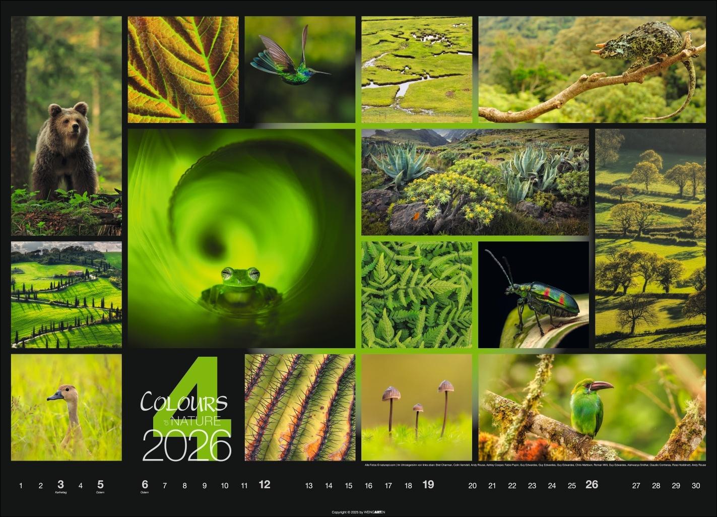Beispielinhalt (Bild) Colours of Nature Kalender 2026