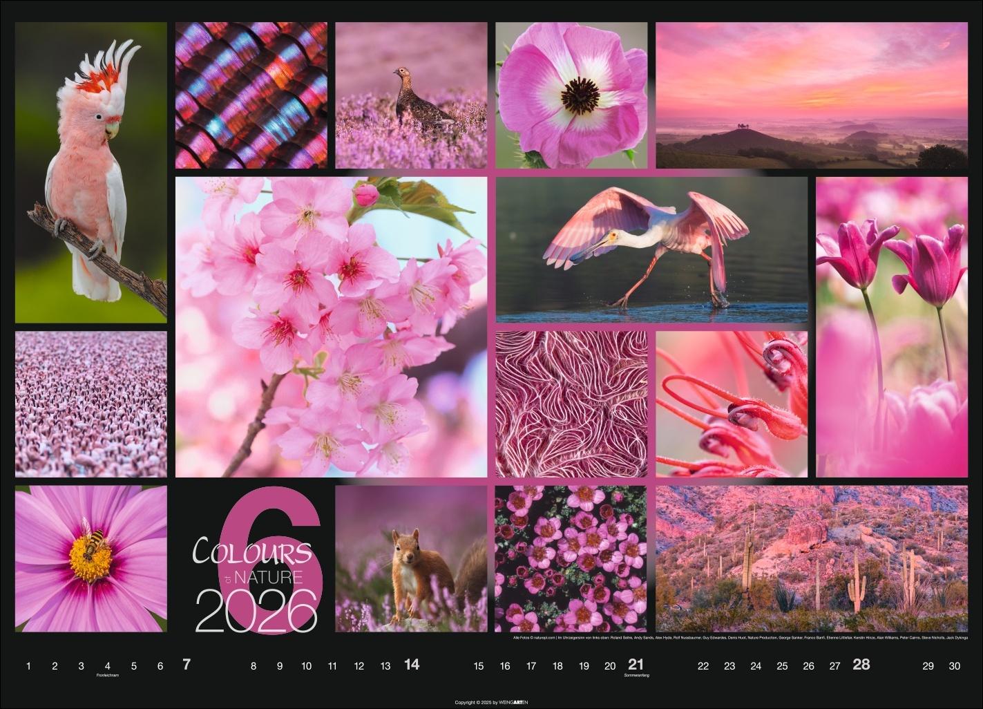 Beispielinhalt (Bild) Colours of Nature Kalender 2026