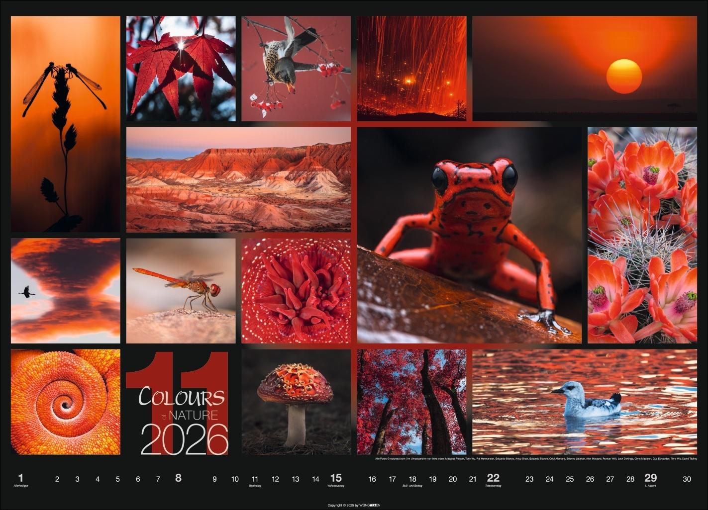 Beispielinhalt (Bild) Colours of Nature Kalender 2026
