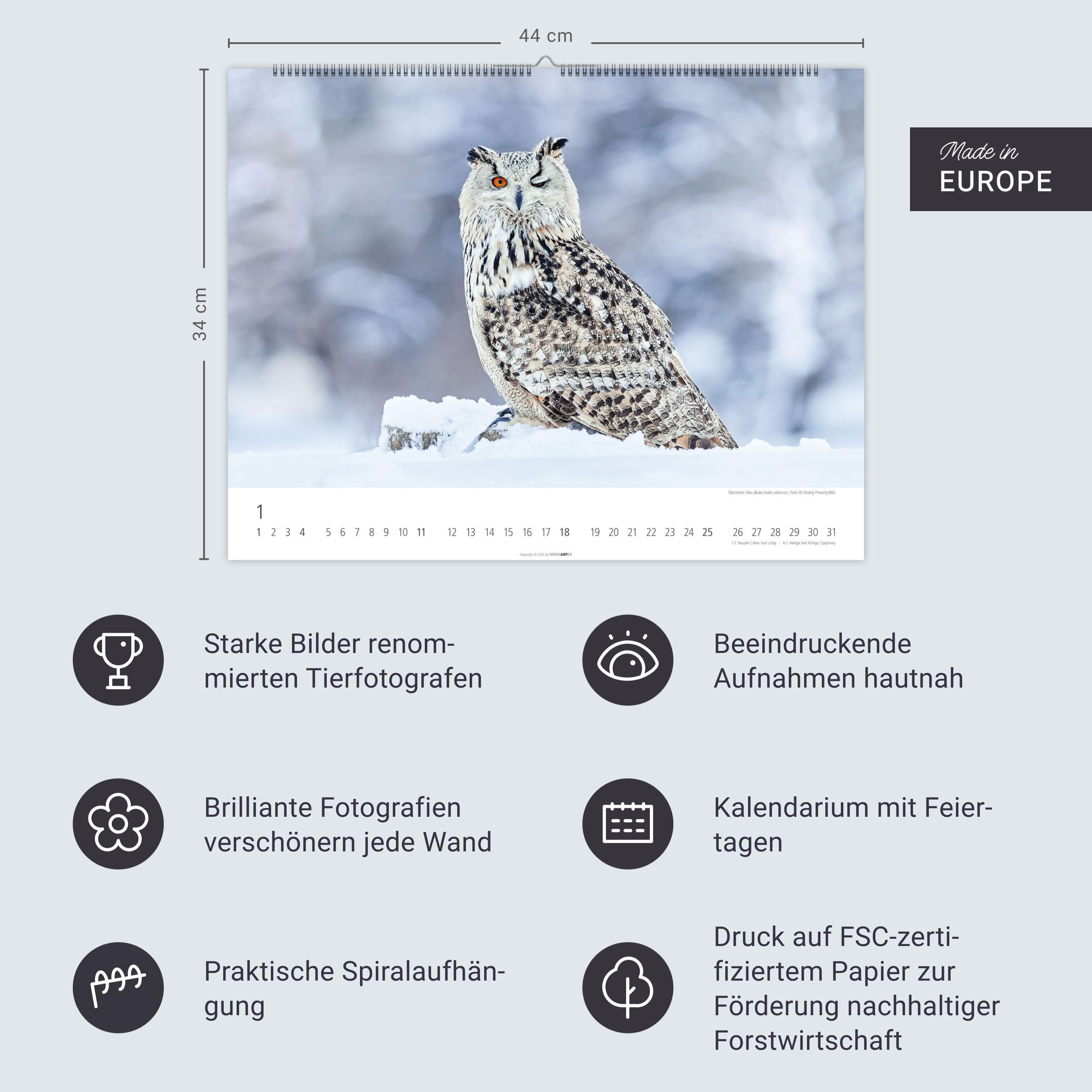 Beispielinhalt (Bild) Eulen Kalender 2026